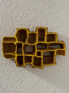 Bruin Abstract